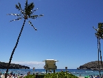 hawai.png
