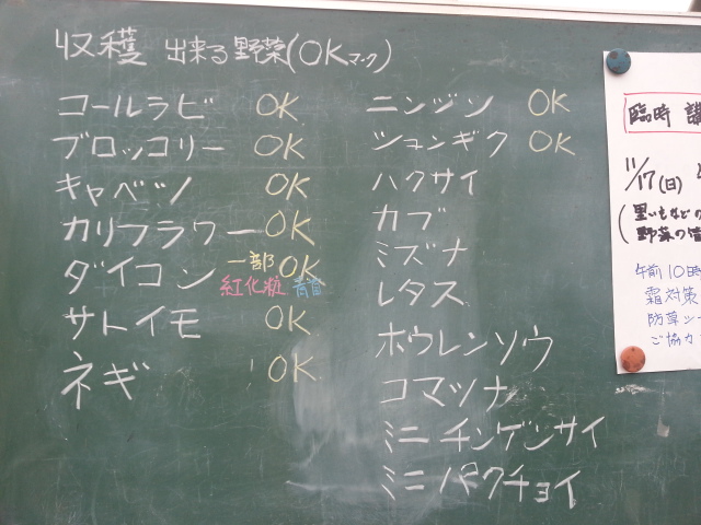 20131110黒板1.jpg