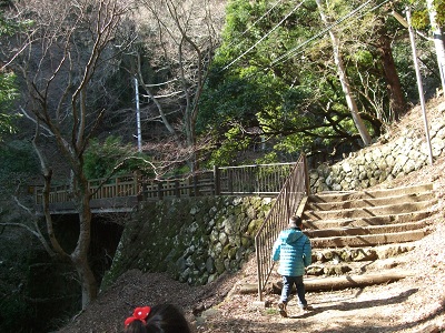 DSCF9041.JPG