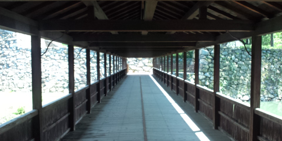 DCF00143.JPG