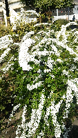 rblog-20150326124106-02.png