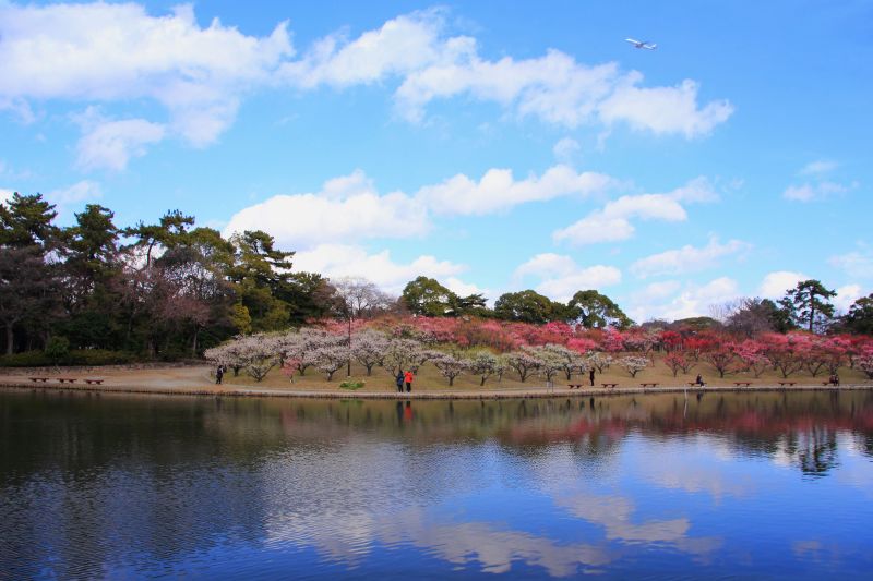 1,890-伊丹市緑ヶ丘公園その2 Huちゃん 写真日記 楽天ブログ
