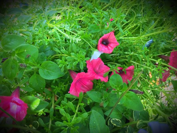rblog-20160430165450-04.jpg
