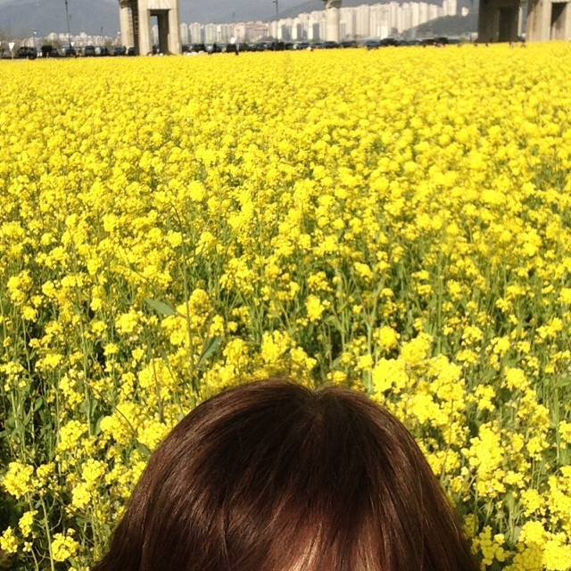 rblog-20140408185329-03.jpg
