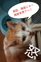rblog-20130804113920-04.png