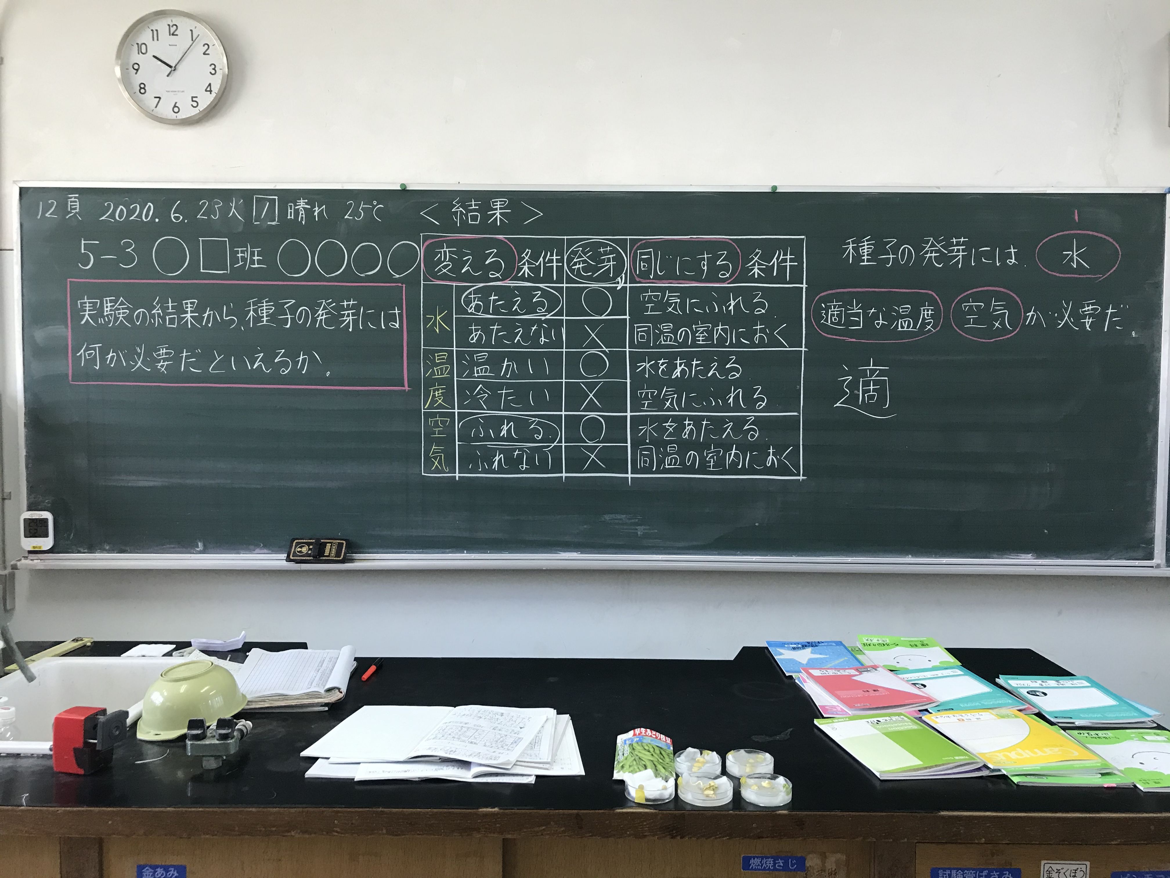 発芽実験成功 06 22 月 原田誉一の電脳通信 楽天ブログ