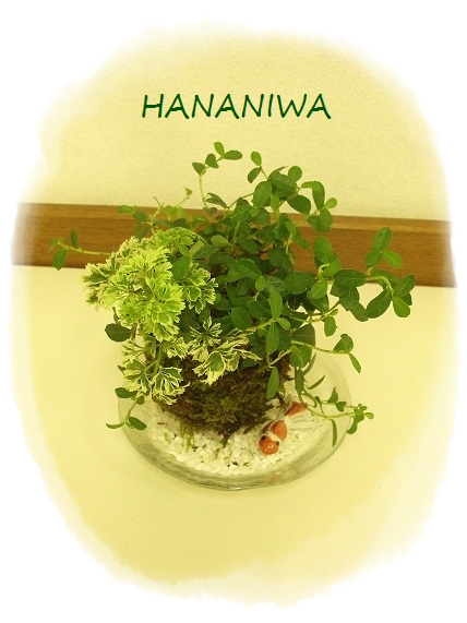 2012_0825トレッサ用寄せ植えとクレマチスの講座とカ0004.JPG