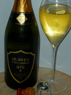 Vina La Rosa Quinta Las Cabras Chardonnay Brut NV glass.jpg