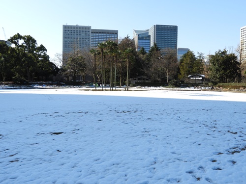 日比谷公園にて