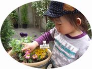 20120414_花.JPG