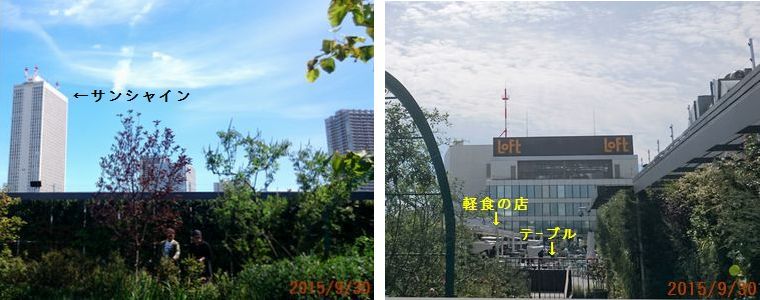 ９／３０屋上庭園２.jpg