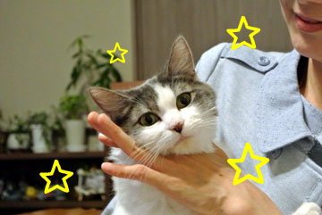 mumu5.jpg