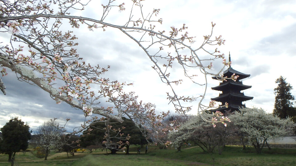 140330備中国分寺b.jpg