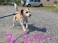 conv0838.JPG