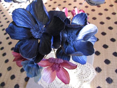 anemone1