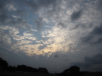 IMG_9832.JPG