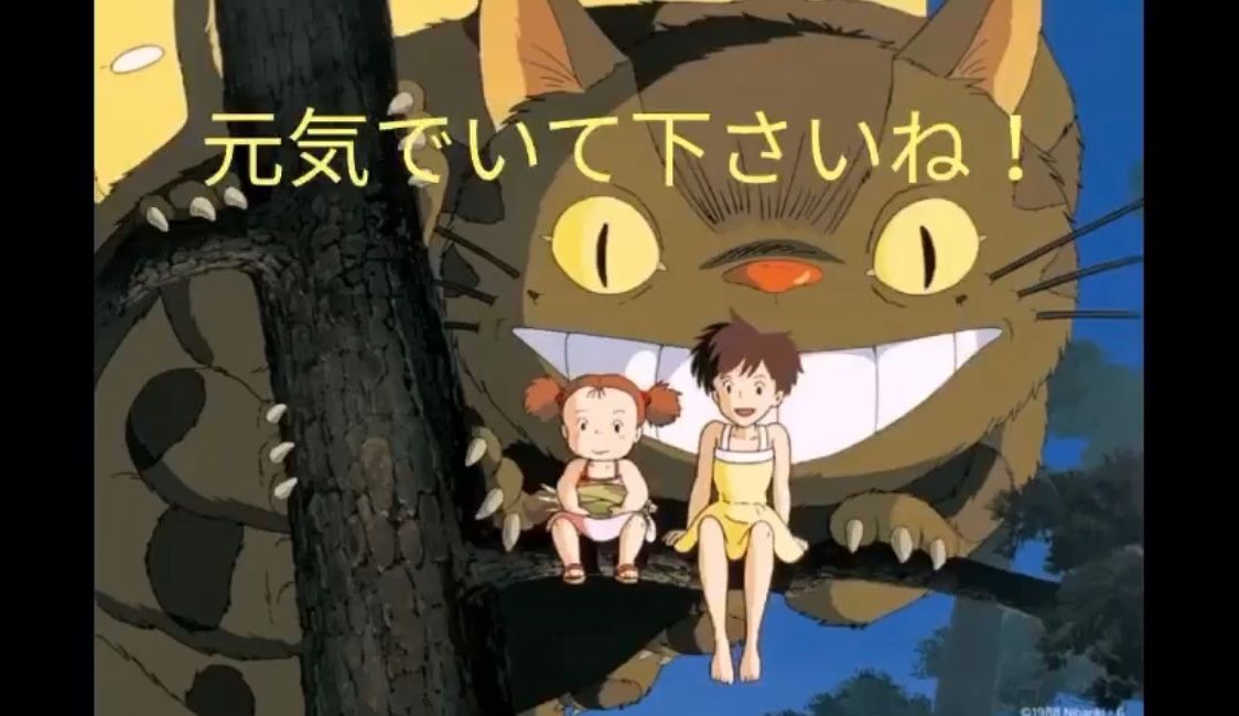 卓球仲間のfさんから トトロの残暑見舞いの動画がlineで届きました Music Land 私の庭の花たち 楽天ブログ