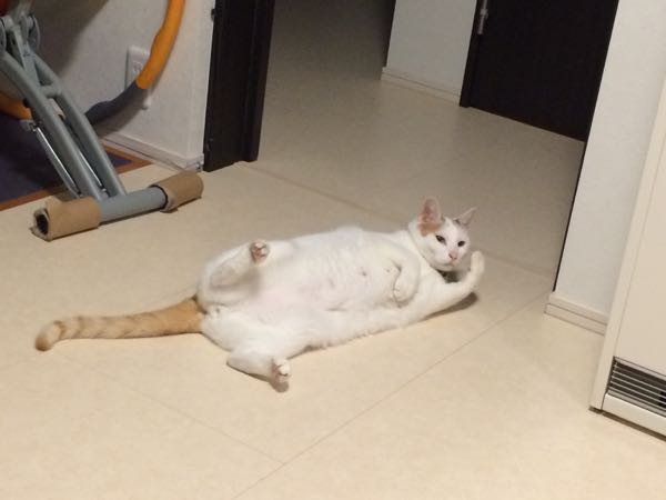 rblog-20150618062601-01.jpg