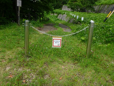 P1020574.JPG