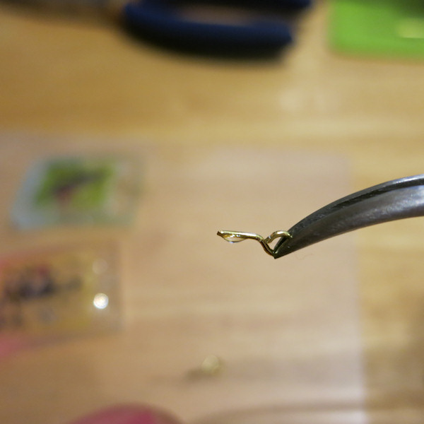 20150608_s5.JPG