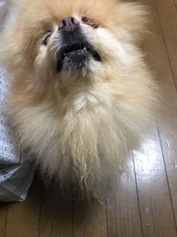 rblog-20180920171039-05.jpg