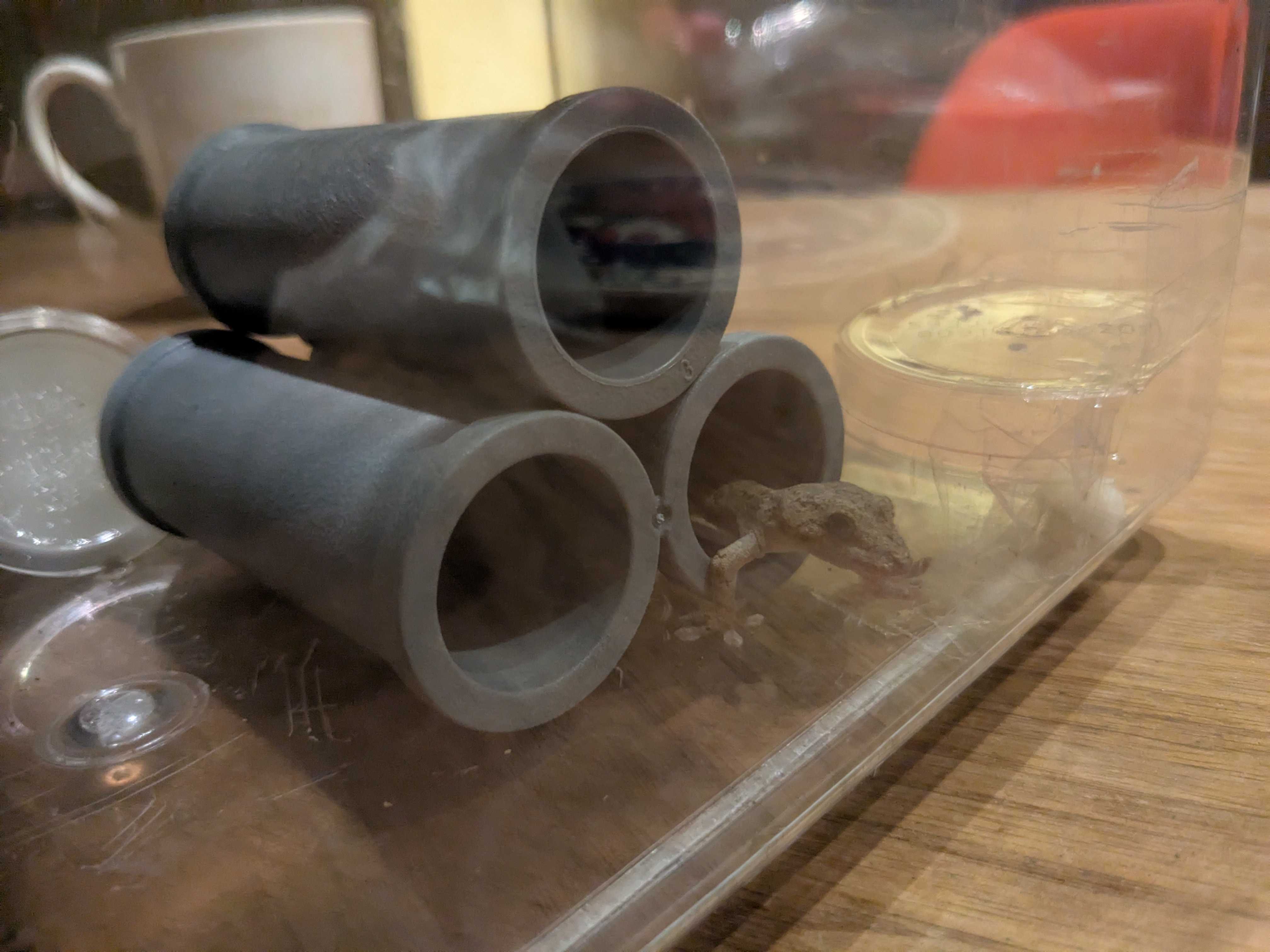 100均ダイソー　土管　ヤモリの家　代用