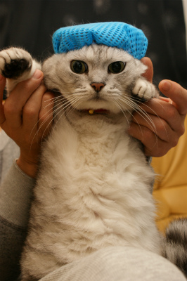 DSC09117.jpg