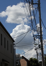 IMG_6061-2.jpg