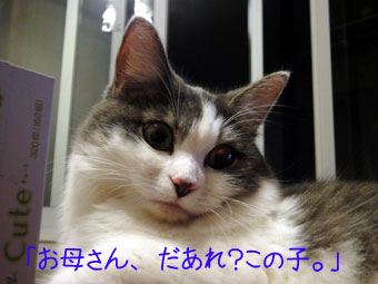 mumu21.jpg