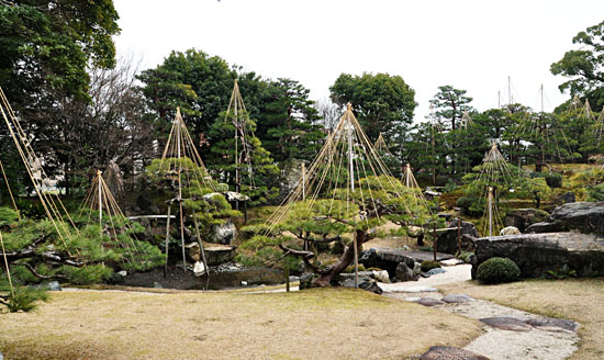 庭１