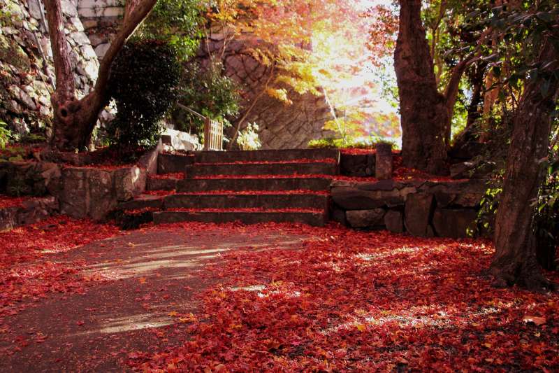 聖天宮_002-敷き紅葉.jpg