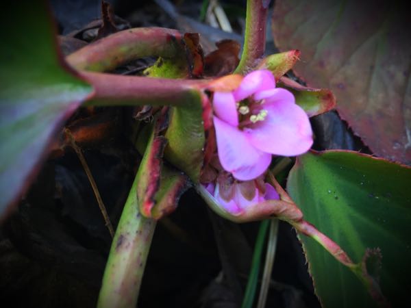 rblog-20150227215104-01.jpg