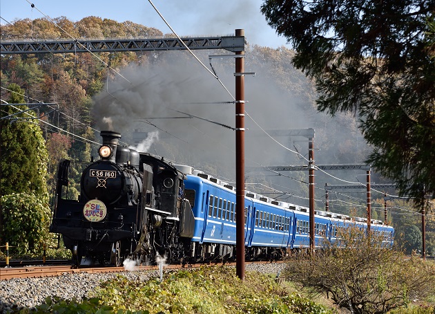 2014.11.23 3号.jpg