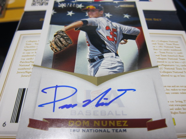 dom nunez