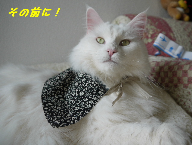 P1250564.JPG