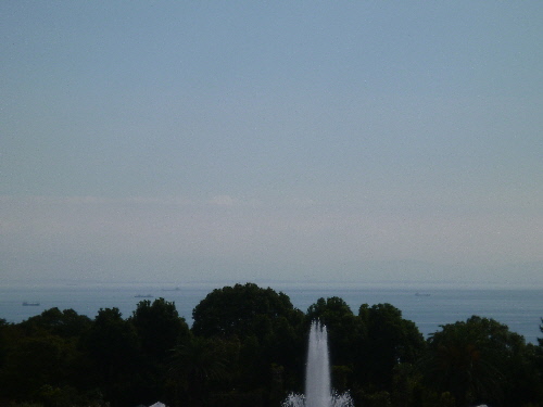 P1130392(1).JPG