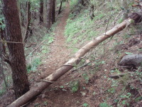 20120624_92.jpg