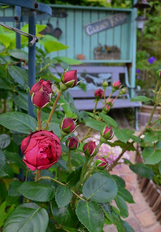 DSC_0625.JPG