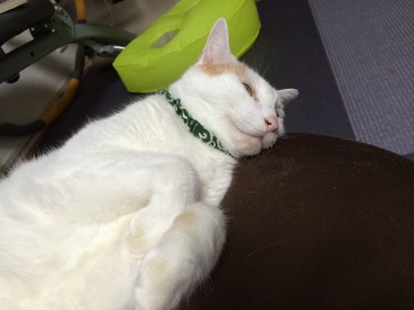 rblog-20150908063357-06.jpg