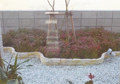 IMG.jpg