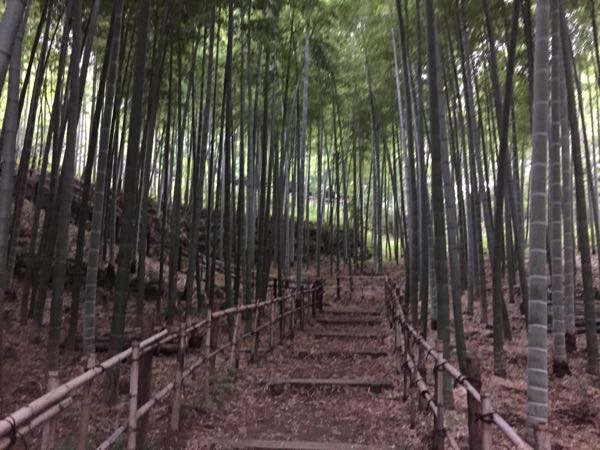 rblog-20161003090701-03.jpg