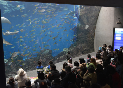巨大水槽