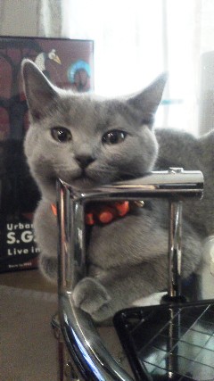 20130912081239.jpg