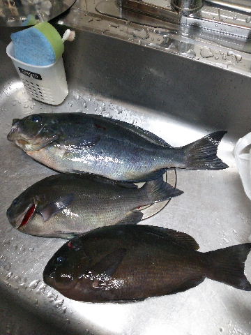 DSC_0020.JPG