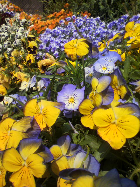 2011050810570000.jpg