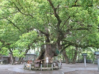 0419jinnzya