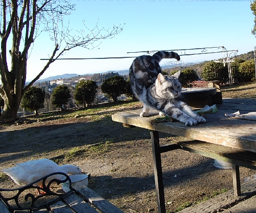 DSC_0079.JPG