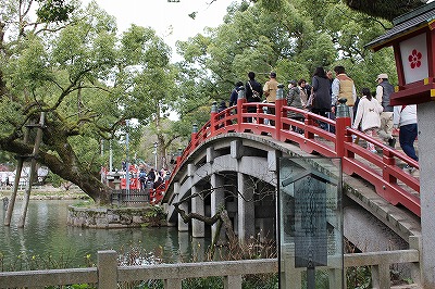 IMG_2596.jpg