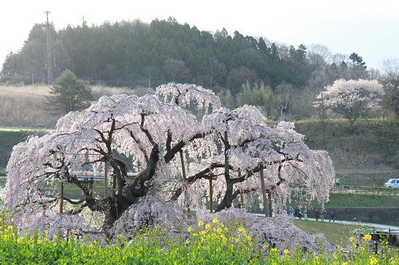 150419_08.jpg