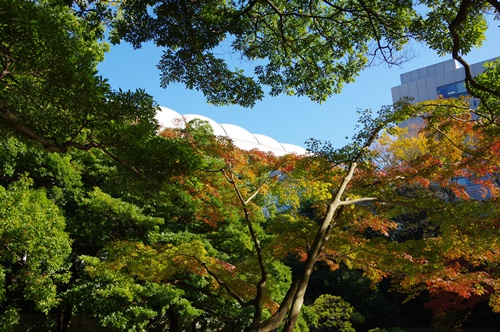 小石川後楽園